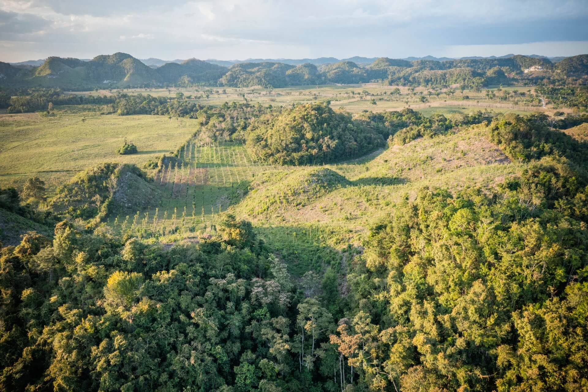 Rolling green forest hills and valleys seen from above